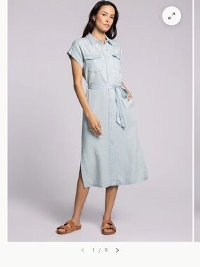 Thread & Supply Women’s Chambray Dress
